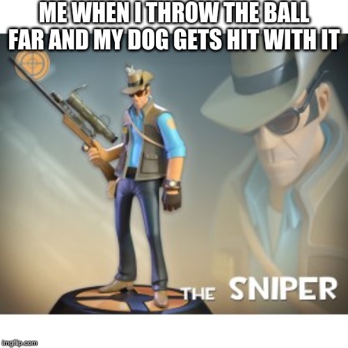 The Sniper TF2 meme | ME WHEN I THROW THE BALL FAR AND MY DOG GETS HIT WITH IT | image tagged in the sniper tf2 meme | made w/ Imgflip meme maker