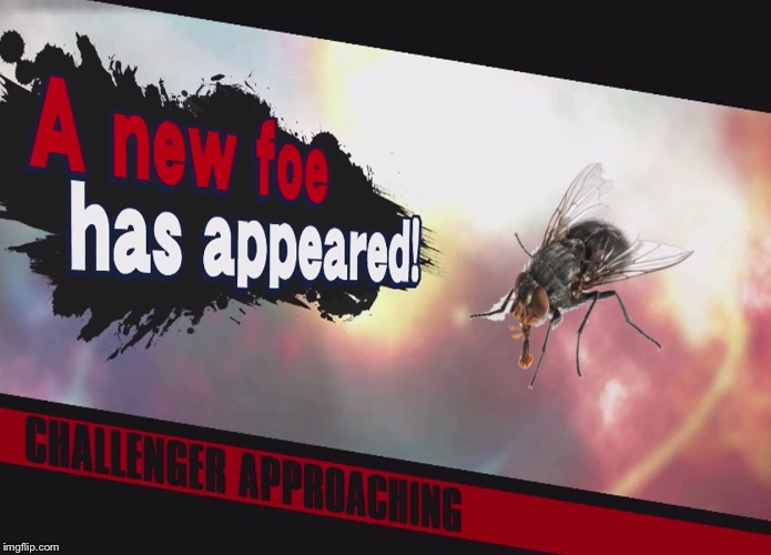 A new challenger has approached!! | image tagged in super smash bros | made w/ Imgflip meme maker