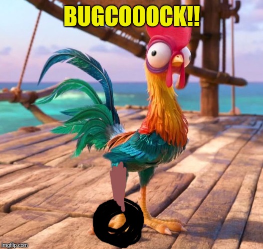 HeiHei | BUGCOOOCK!! | image tagged in heihei | made w/ Imgflip meme maker