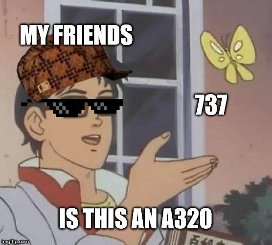 Is This A Pigeon Meme | MY FRIENDS; 737; IS THIS AN A320 | image tagged in memes,is this a pigeon | made w/ Imgflip meme maker