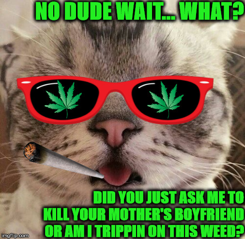 WEED TRIP | NO DUDE WAIT... WHAT? DID YOU JUST ASK ME TO KILL YOUR MOTHER'S BOYFRIEND OR AM I TRIPPIN ON THIS WEED? | image tagged in weed trip | made w/ Imgflip meme maker