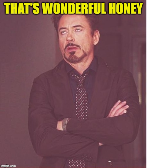 Face You Make Robert Downey Jr Meme | THAT'S WONDERFUL HONEY | image tagged in memes,face you make robert downey jr | made w/ Imgflip meme maker