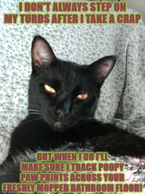 I DON'T ALWAYS | I DON'T ALWAYS STEP ON MY TURDS AFTER I TAKE A CRAP; BUT WHEN I DO I'LL MAKE SURE I TRACK POOPY PAW PRINTS ACROSS YOUR FRESHLY MOPPED BATHROOM FLOOR! | image tagged in i don't always | made w/ Imgflip meme maker