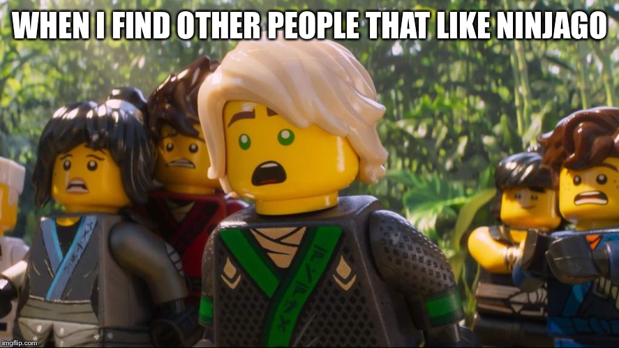 Ninjago Shocked | WHEN I FIND OTHER PEOPLE THAT LIKE NINJAGO | image tagged in ninjago shocked | made w/ Imgflip meme maker