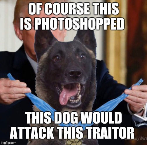 Creepy Drumpf | OF COURSE THIS IS PHOTOSHOPPED; THIS DOG WOULD ATTACK THIS TRAITOR | image tagged in impeach trump,memes,creepy condescending wonka,political meme | made w/ Imgflip meme maker