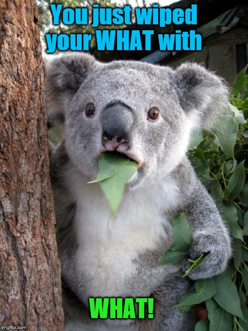 Surprised Koala | You just wiped your WHAT with; WHAT! | image tagged in memes,surprised koala,fun | made w/ Imgflip meme maker