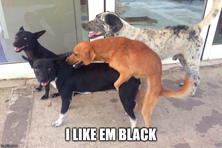 Doggy Sex | I LIKE EM BLACK | image tagged in doggy sex | made w/ Imgflip meme maker