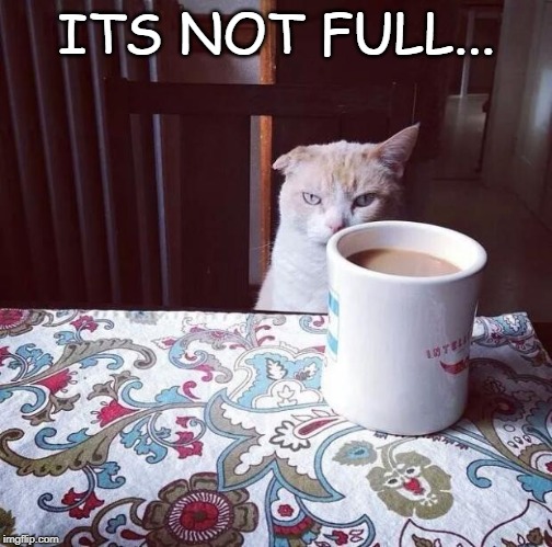 Cat Doesn't Like this Coffee | ITS NOT FULL... | image tagged in cat doesn't like this coffee | made w/ Imgflip meme maker