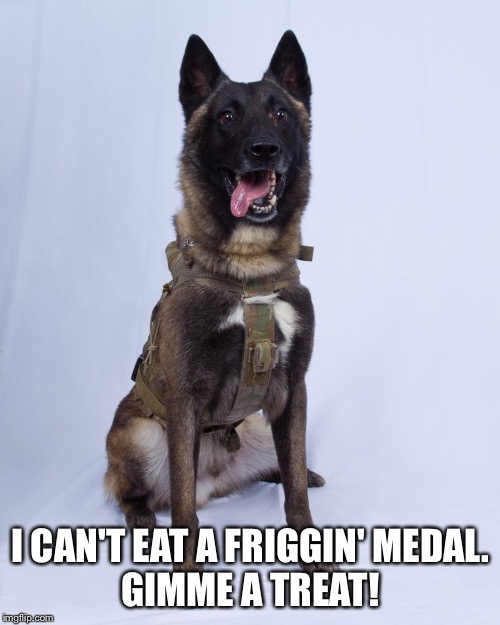 I CAN'T EAT A FRIGGIN' MEDAL.
GIMME A TREAT! | made w/ Imgflip meme maker