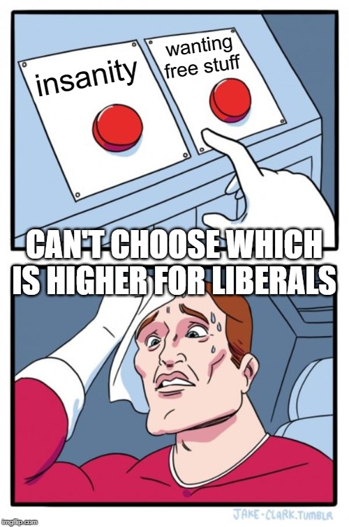 Two Buttons Meme | insanity wanting free stuff CAN'T CHOOSE WHICH IS HIGHER FOR LIBERALS | image tagged in memes,two buttons | made w/ Imgflip meme maker