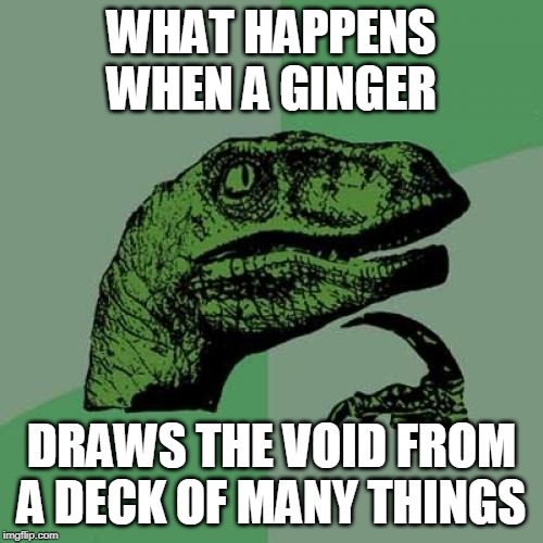 Philosoraptor Meme | WHAT HAPPENS WHEN A GINGER; DRAWS THE VOID FROM A DECK OF MANY THINGS | image tagged in memes,philosoraptor | made w/ Imgflip meme maker