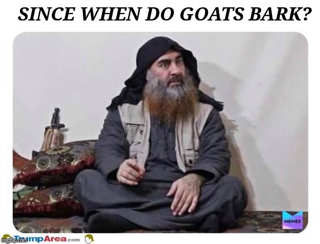 Al Baghdaddi | SINCE WHEN DO GOATS BARK? | image tagged in al baghdaddi | made w/ Imgflip meme maker