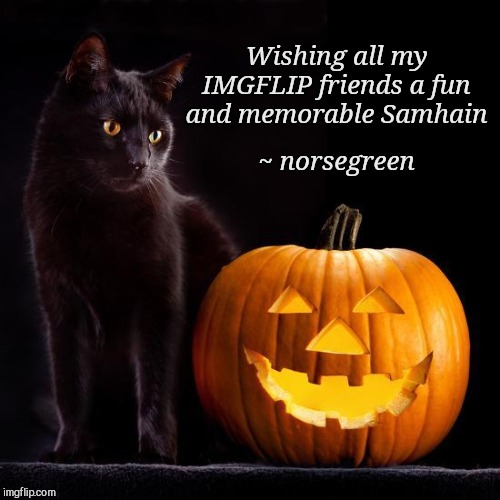 Happy Samhain! | Wishing all my IMGFLIP friends a fun and memorable Samhain; ~ norsegreen | image tagged in samhain cat,samhain,all hallow's eve,happy halloween | made w/ Imgflip meme maker