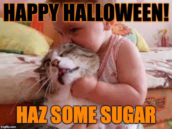 Treat yourselves safely  ( : | HAPPY HALLOWEEN! HAZ SOME SUGAR | image tagged in sugar baby,memes,happy halloween | made w/ Imgflip meme maker