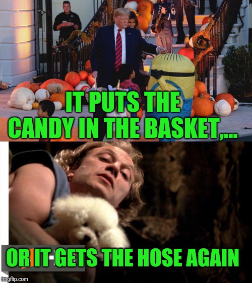 He's not a table ya moron | IT PUTS THE CANDY IN THE BASKET,... OR IT GETS THE HOSE AGAIN | image tagged in dump trump,sewmyeyesshut,halloween,candy,hur dee dur dee derp | made w/ Imgflip meme maker