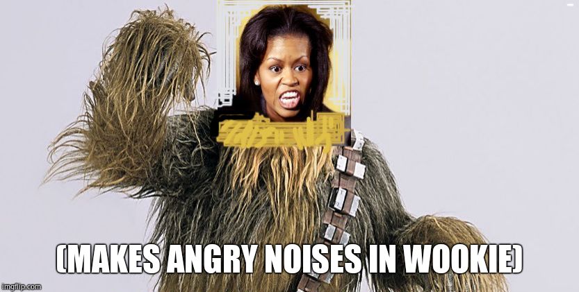 (MAKES ANGRY NOISES IN WOOKIE) | made w/ Imgflip meme maker