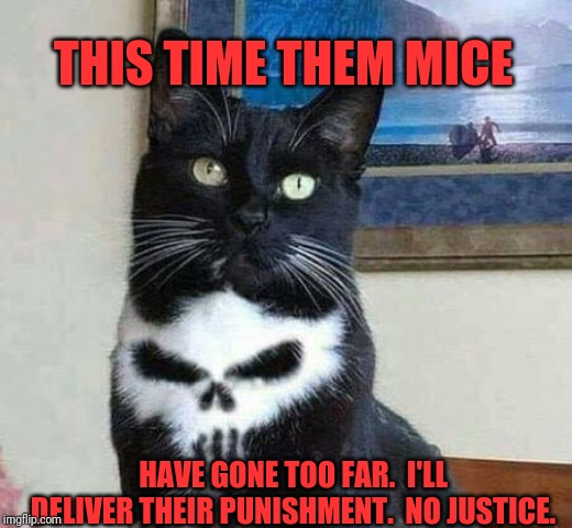 Punisher cat | THIS TIME THEM MICE; HAVE GONE TOO FAR.  I'LL DELIVER THEIR PUNISHMENT.  NO JUSTICE. | image tagged in punisher cat | made w/ Imgflip meme maker