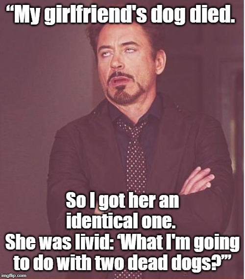 Face You Make Robert Downey Jr | “My girlfriend's dog died. So I got her an identical one. 
She was livid: ‘What I'm going to do with two dead dogs?’” | image tagged in memes,face you make robert downey jr | made w/ Imgflip meme maker