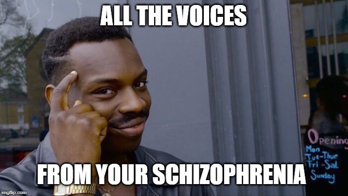 Roll Safe Think About It Meme | ALL THE VOICES FROM YOUR SCHIZOPHRENIA | image tagged in memes,roll safe think about it | made w/ Imgflip meme maker