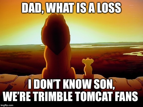 Lion King | DAD, WHAT IS A LOSS; I DON’T KNOW SON, WE’RE TRIMBLE TOMCAT FANS | image tagged in memes,lion king | made w/ Imgflip meme maker