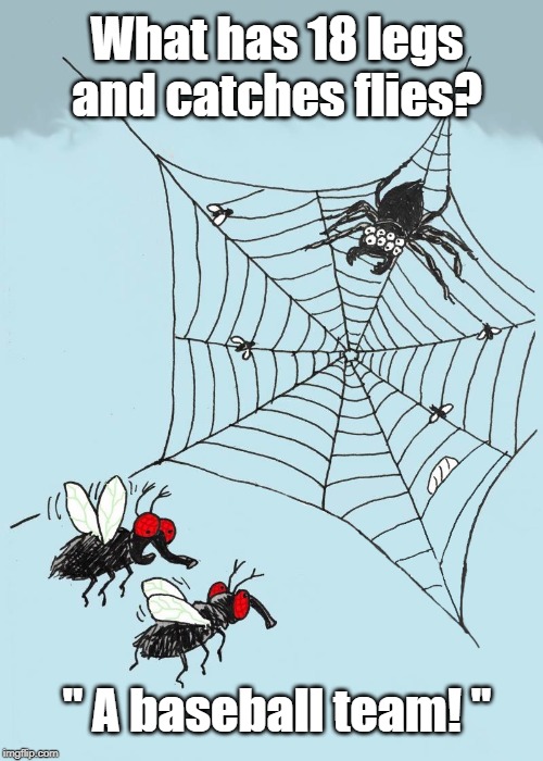 18 legs spider | What has 18 legs and catches flies? " A baseball team! " | image tagged in baseball | made w/ Imgflip meme maker