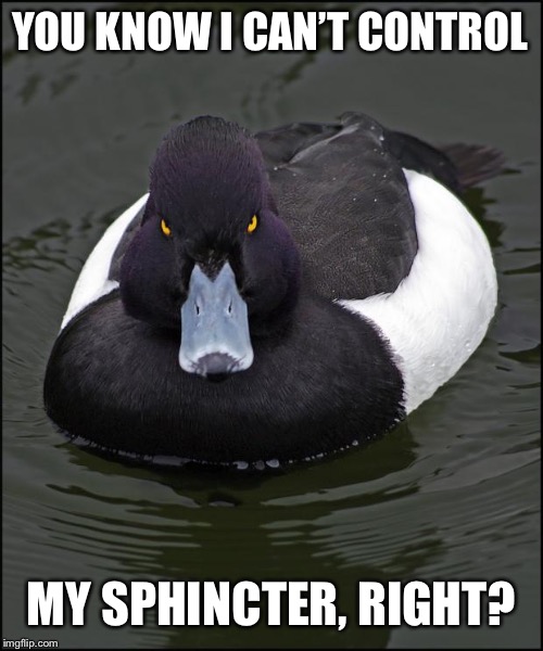 Angry duck | YOU KNOW I CAN’T CONTROL MY SPHINCTER, RIGHT? | image tagged in angry duck | made w/ Imgflip meme maker