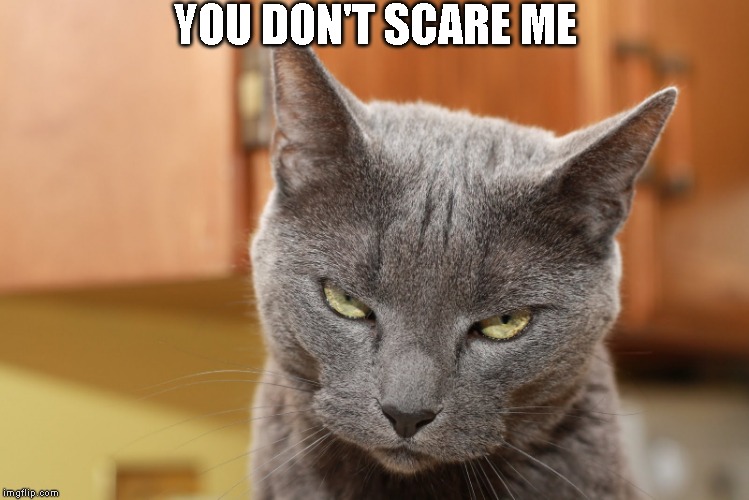 Try Me | YOU DON'T SCARE ME | image tagged in try me | made w/ Imgflip meme maker
