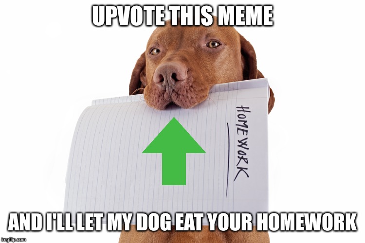 Dog Ate Homework | UPVOTE THIS MEME; AND I'LL LET MY DOG EAT YOUR HOMEWORK | image tagged in dog ate homework | made w/ Imgflip meme maker
