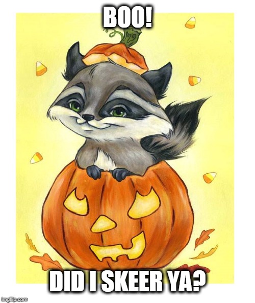 Stay sharp with your kids tonight | BOO! DID I SKEER YA? | image tagged in happy halloween,halloween,raccoon,great pumpkin | made w/ Imgflip meme maker