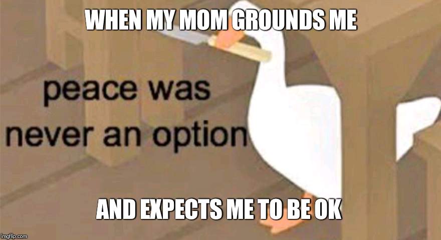 Untitled Goose Peace Was Never an Option | WHEN MY MOM GROUNDS ME; AND EXPECTS ME TO BE OK | image tagged in untitled goose peace was never an option | made w/ Imgflip meme maker