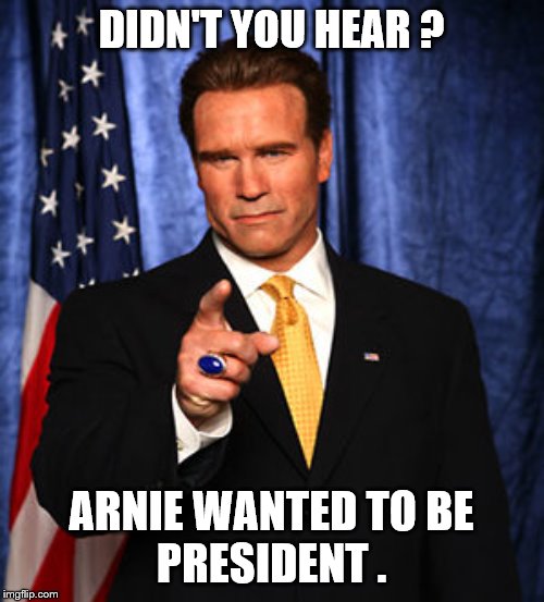 Arnold Schwarzenegger Governator | DIDN'T YOU HEAR ? ARNIE WANTED TO BE
PRESIDENT . | image tagged in arnold schwarzenegger governator | made w/ Imgflip meme maker