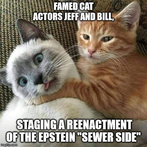 Sewer side | FAMED CAT ACTORS JEFF AND BILL, STAGING A REENACTMENT OF THE EPSTEIN "SEWER SIDE" | image tagged in cats,jeffrey epstein | made w/ Imgflip meme maker