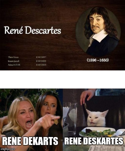 RENE DEKARTS; RENE DESKARTES | image tagged in memes,woman yelling at a cat | made w/ Imgflip meme maker