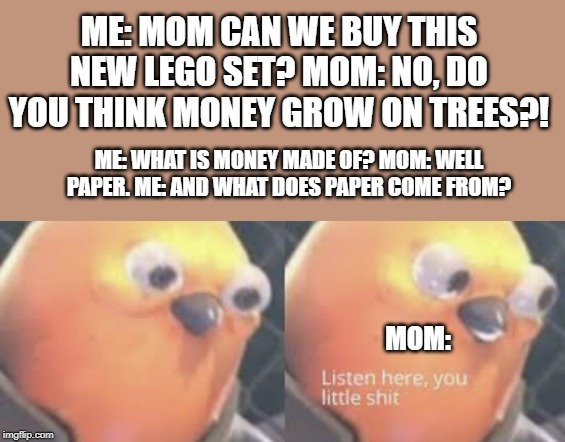 Listen here you little shit bird | ME: MOM CAN WE BUY THIS NEW LEGO SET? MOM: NO, DO YOU THINK MONEY GROW ON TREES?! ME: WHAT IS MONEY MADE OF? MOM: WELL PAPER. ME: AND WHAT DOES PAPER COME FROM? MOM: | image tagged in listen here you little shit bird | made w/ Imgflip meme maker