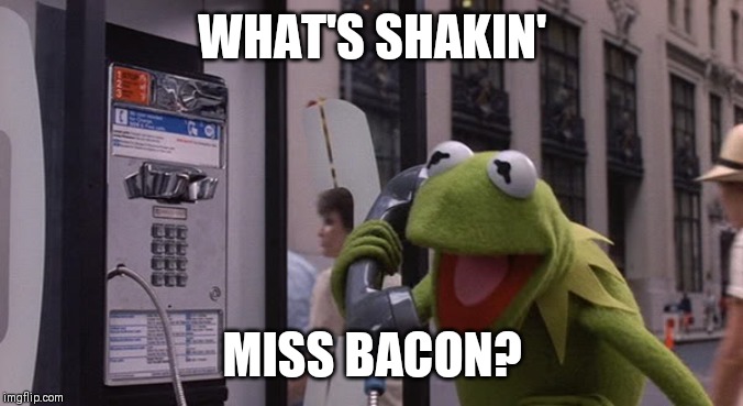 That moment when you stop encouraging your boyfriend to "be more spontaneous". | WHAT'S SHAKIN'; MISS BACON? | image tagged in kermit phone,spontaneous,boyfriend,girlfriend,pickup lines | made w/ Imgflip meme maker