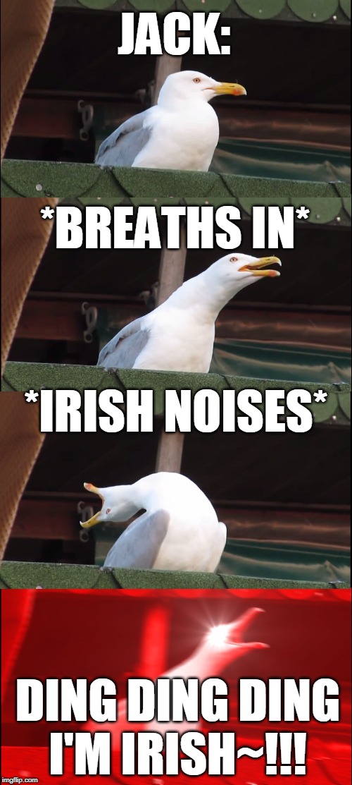 Inhaling Seagull Meme | JACK:; *BREATHS IN*; *IRISH NOISES*; DING DING DING I'M IRISH~!!! | image tagged in memes,inhaling seagull | made w/ Imgflip meme maker