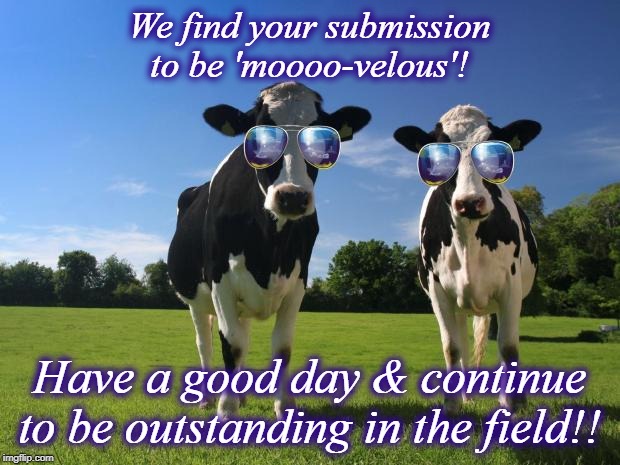 cool cows | We find your submission to be 'moooo-velous'! Have a good day & continue to be outstanding in the field!! | image tagged in cool cows | made w/ Imgflip meme maker