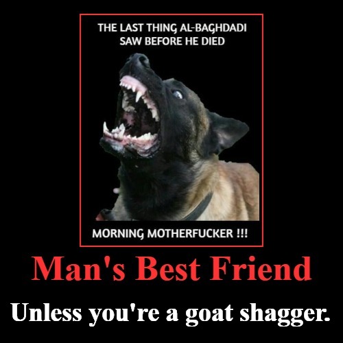Man's Best Friend (Unless you're a goat shagger) | Unless you're a goat shagger. | image tagged in goat shagger,mans best friend,pets,angry dogs,k9,superhero | made w/ Imgflip meme maker