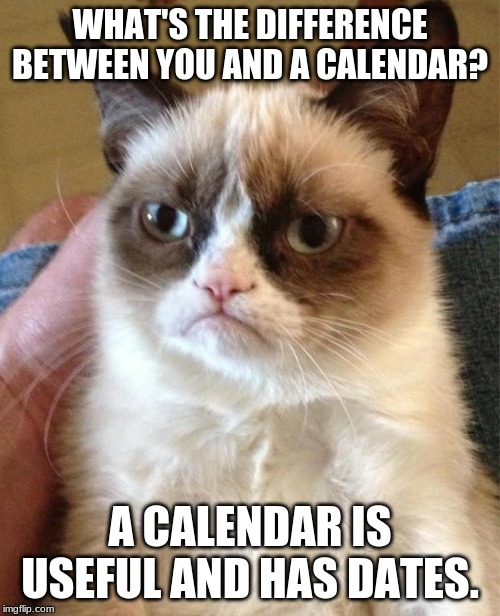 Gumpy Cat | WHAT'S THE DIFFERENCE BETWEEN YOU AND A CALENDAR? A CALENDAR IS USEFUL AND HAS DATES. | image tagged in gumpy cat | made w/ Imgflip meme maker