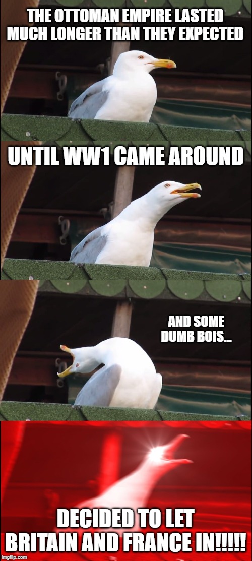 Inhaling Seagull Meme | THE OTTOMAN EMPIRE LASTED MUCH LONGER THAN THEY EXPECTED; UNTIL WW1 CAME AROUND; AND SOME DUMB BOIS... DECIDED TO LET BRITAIN AND FRANCE IN!!!!! | image tagged in memes,inhaling seagull | made w/ Imgflip meme maker