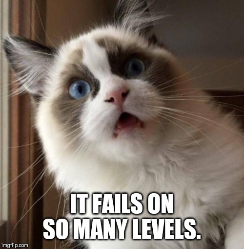 Astonished cat | IT FAILS ON SO MANY LEVELS. | image tagged in astonished cat | made w/ Imgflip meme maker