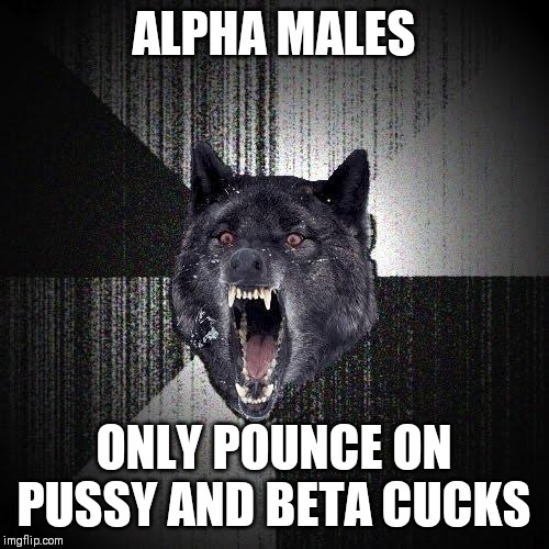 Insanity Wolf Meme | ALPHA MALES ONLY POUNCE ON PUSSY AND BETA CUCKS | image tagged in memes,insanity wolf | made w/ Imgflip meme maker