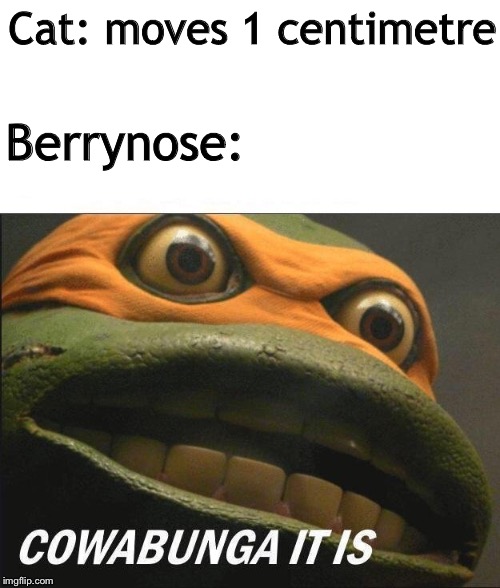 Suggested by my friend (btw I haven’t read Warriorcats) | Cat: moves 1 centimetre; Berrynose: | image tagged in cowabunga it is,warrior cats | made w/ Imgflip meme maker