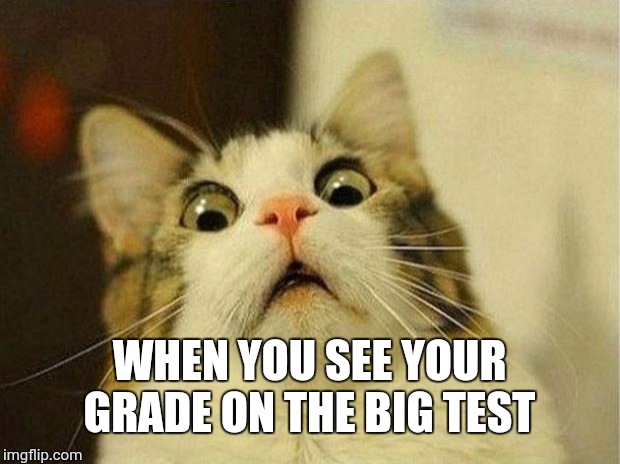 Scared Cat Meme | WHEN YOU SEE YOUR GRADE ON THE BIG TEST | image tagged in memes,scared cat | made w/ Imgflip meme maker
