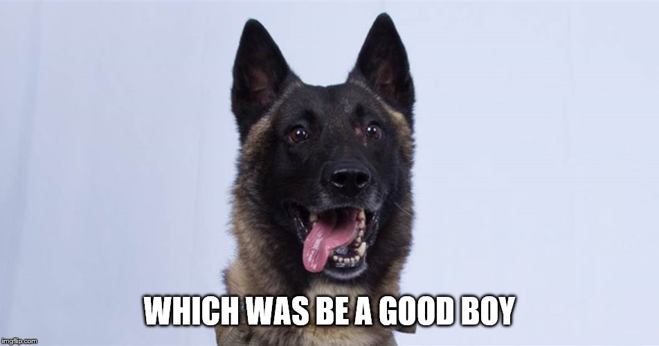 WHICH WAS BE A GOOD BOY | made w/ Imgflip meme maker