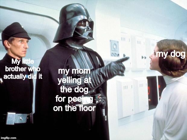 Darth Vader | my dog; My little brother who actually did it; my mom yelling at the dog for peeing on the floor | image tagged in darth vader | made w/ Imgflip meme maker
