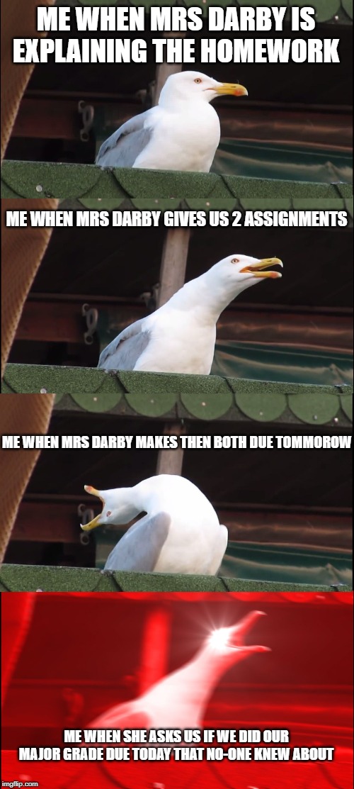 Inhaling Seagull | ME WHEN MRS DARBY IS EXPLAINING THE HOMEWORK; ME WHEN MRS DARBY GIVES US 2 ASSIGNMENTS; ME WHEN MRS DARBY MAKES THEN BOTH DUE TOMMOROW; ME WHEN SHE ASKS US IF WE DID OUR MAJOR GRADE DUE TODAY THAT NO-ONE KNEW ABOUT | image tagged in memes,inhaling seagull | made w/ Imgflip meme maker