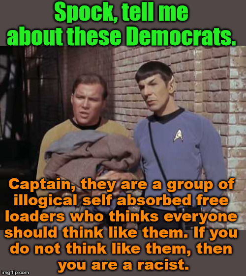 When Kirk and Spock visited our planet in 2019. | Spock, tell me about these Democrats. Captain, they are a group of 
illogical self absorbed free 
loaders who thinks everyone 
should think like them. If you 
do not think like them, then 
you are a racist. | image tagged in oldtrek ctef kirk and spock,kirk and spock,tell me more,seems legit | made w/ Imgflip meme maker