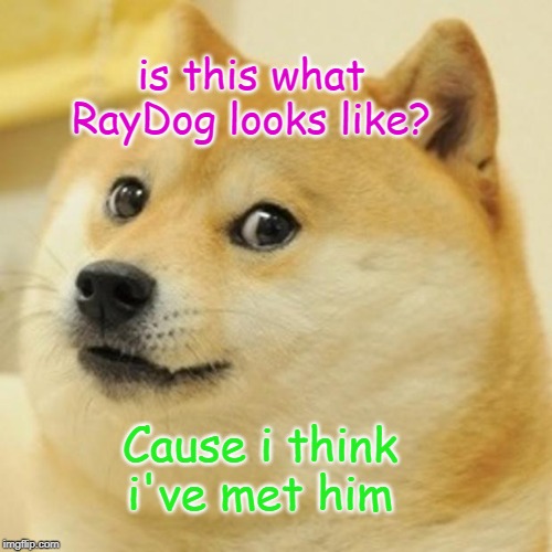 RayDog, Doge dog sounds very similar. | is this what RayDog looks like? Cause i think i've met him | image tagged in memes,doge | made w/ Imgflip meme maker