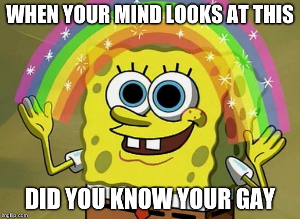 Did You Know? | WHEN YOUR MIND LOOKS AT THIS; DID YOU KNOW YOUR GAY | image tagged in memes,gay,funny | made w/ Imgflip meme maker